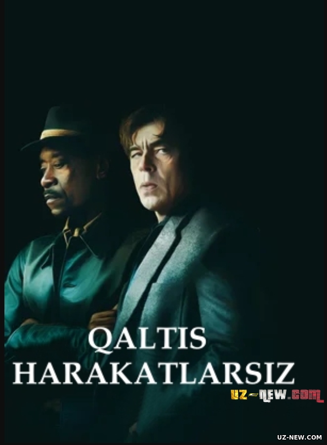 Qaltis harakatlarsiz Uzbek tilida 2021