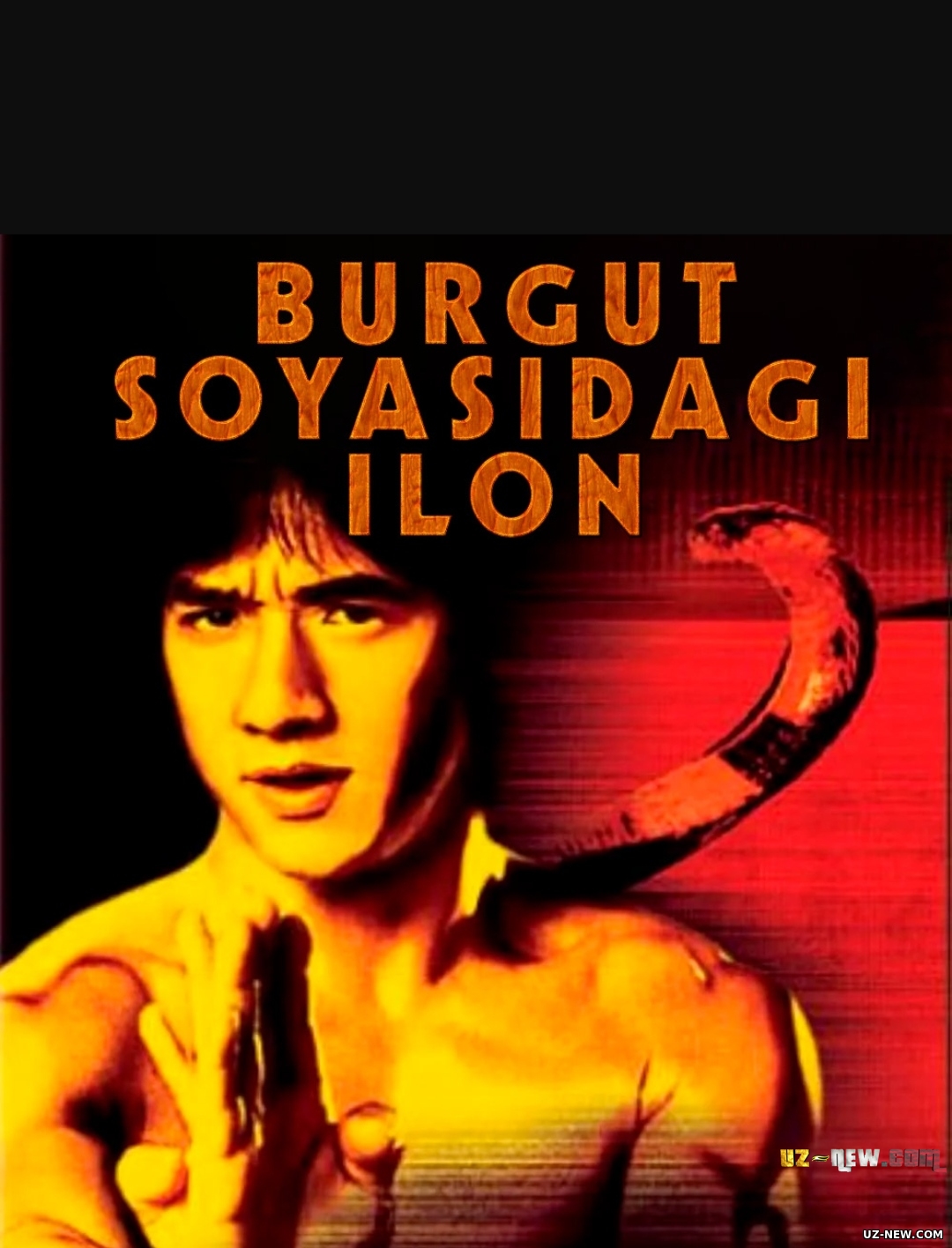 Burgut soyasidagi ilon 1 (Jeki-Chan ishtirokida) Uzbek tilida O'zbekcha 1978
